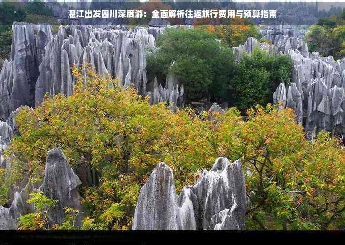 湛江出发四川深度游：全面解析往返旅行费用与预算指南