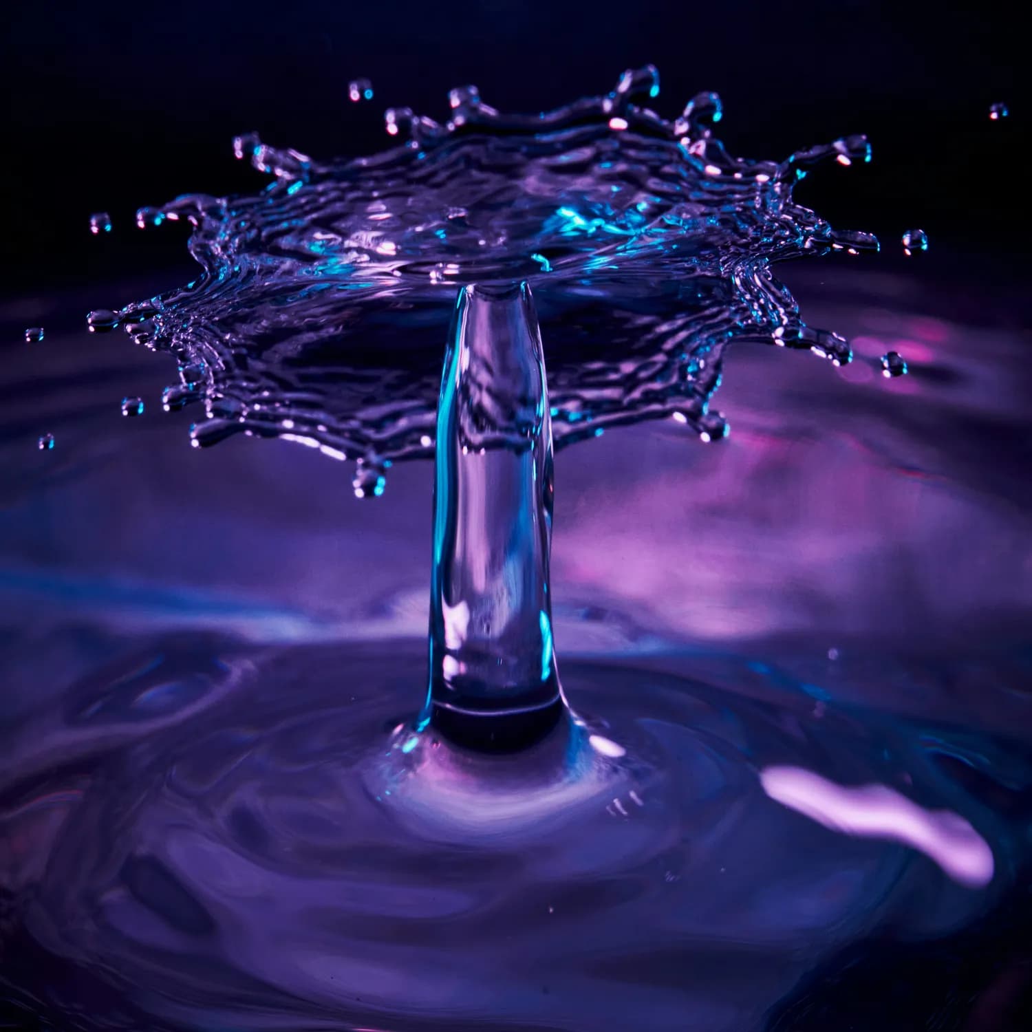 水瓶座性格大揭秘：科学还是玄学？