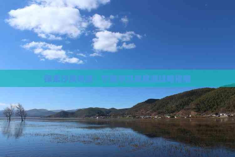 探索沙漠奇迹：宁夏中卫深度游攻略指南