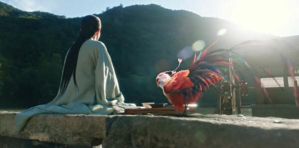 《与凤行》剧情简介：凤凰女沈璃的奇幻之旅
