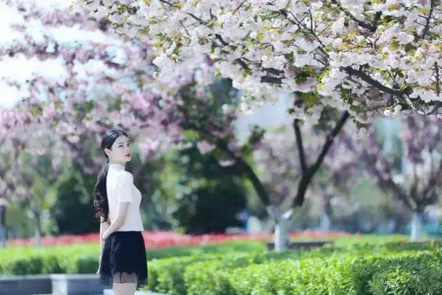 南京航空航天大学环境怎么样？美得出圈，宜居宜学！