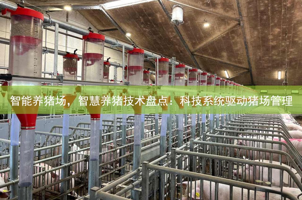 智能养猪场：科技驱动的智慧养殖新模式