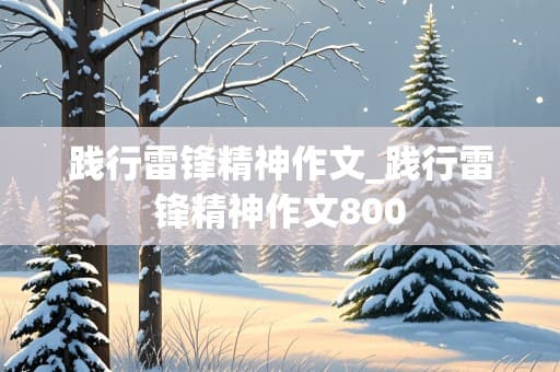 践行雷锋精神：新时代的传承与创新