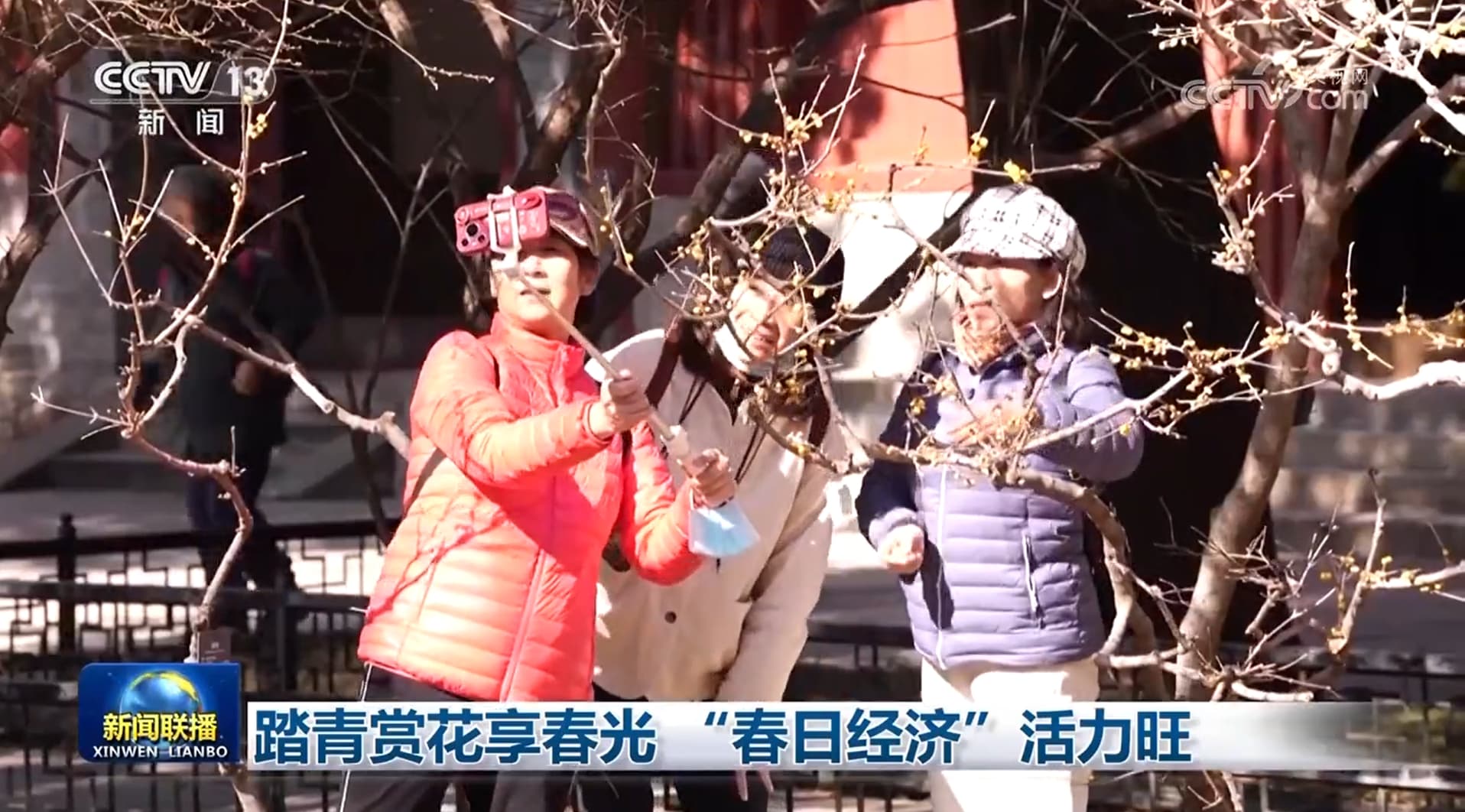 踏青赏花享春光 “春日经济”活力旺
