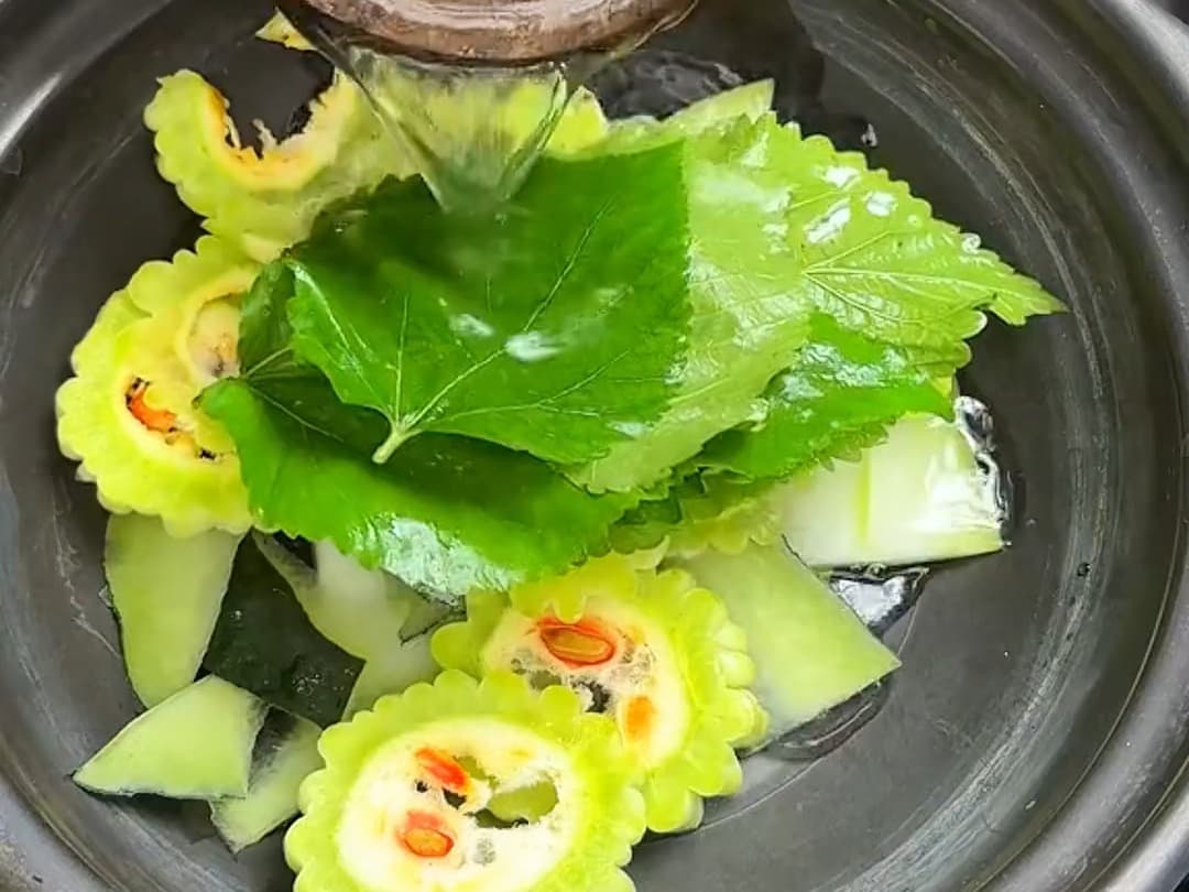 桑叶双瓜茶能减肥吗 桑叶双瓜茶的功效与作用