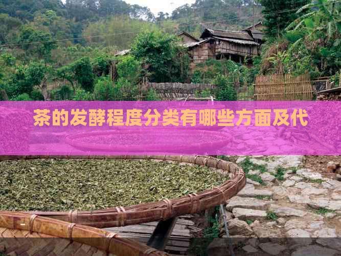 茶的发酵程度分类及其代表排序