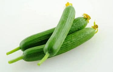 乳瓜是黄瓜吗 乳瓜和黄瓜有什么区别