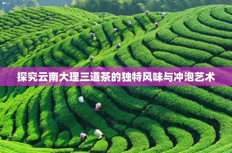 大理三道茶：文化与味蕾的交融