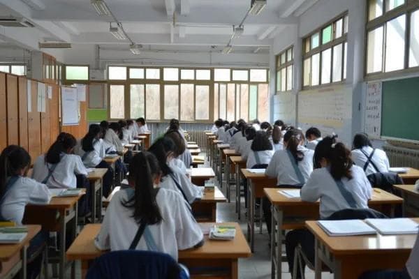 2024年中国针对非洲留学生奖学金概况与外籍留学生年度补贴