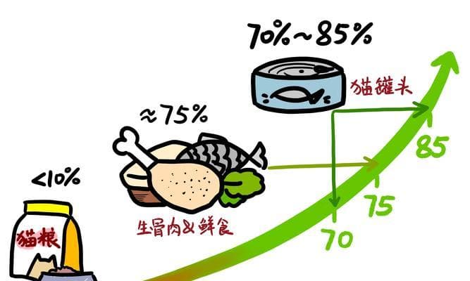 如何帮助猫咪防住脱水？（学会如何补水，降低脱水的风险）