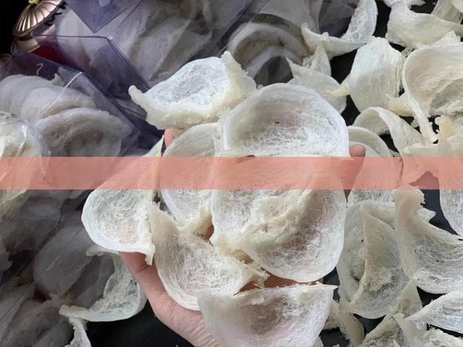 燕窝银耳一起炖多久更佳，炖排骨功效与脆而不出胶原因解析
