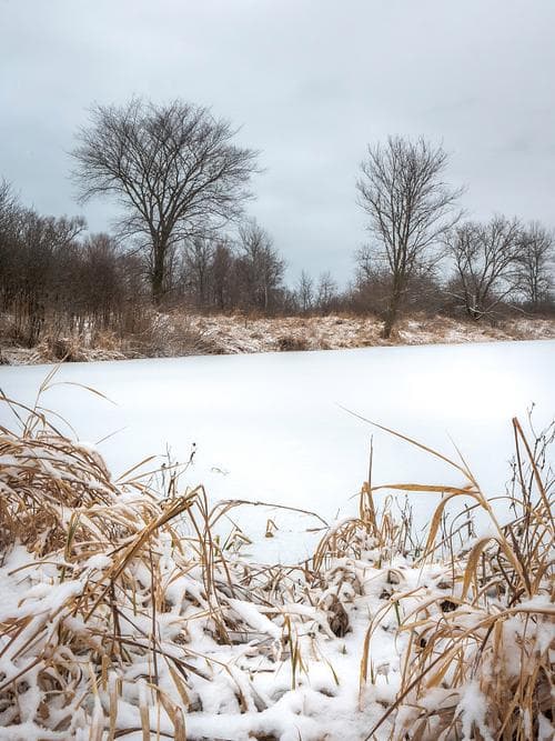 冬日的景物有哪些？冬日美景：雪、冰、雾与温暖光影的梦幻交响!