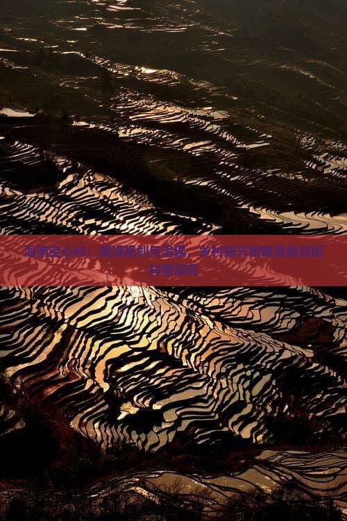 海南空心村：建设规划与治理，乡村振兴策略及最贫困村落探究