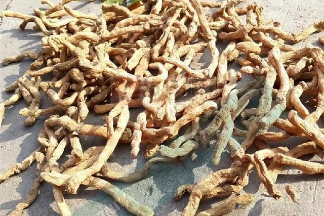 滋阴不用麦冬，容易生湿，教你另一个中药，滋阴润燥，还不生湿