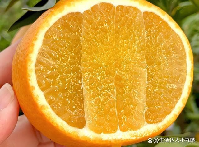 橙子的营养价值：一颗橙子，N种营养