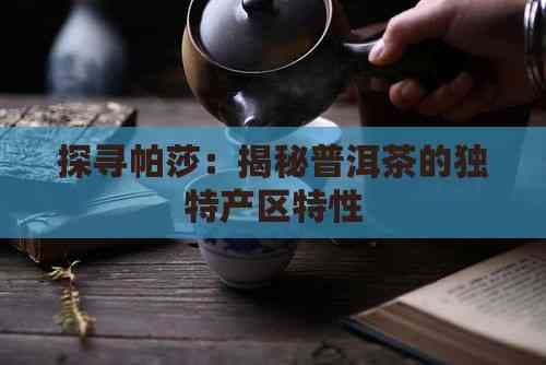 探寻帕莎：揭秘普洱茶的独特产区特性