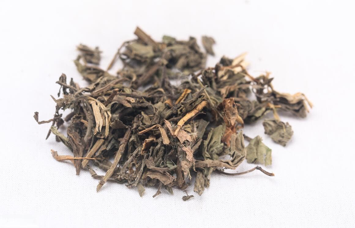 小蓟的功效与作用