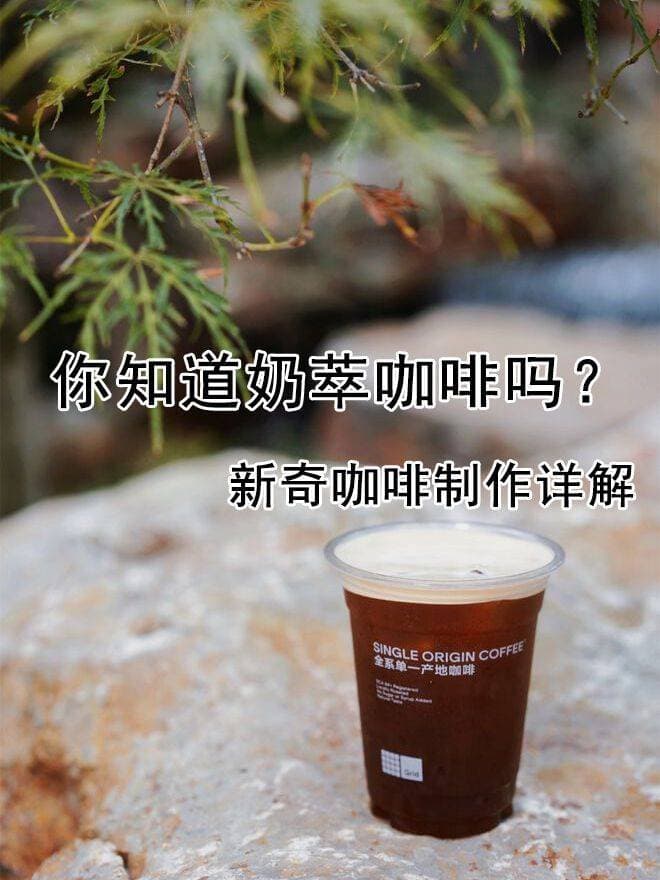 奶萃咖啡制作全攻略：从选材到饮用的完整指南
