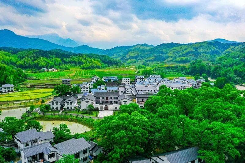 萍乡武功山：林长制引领绿色发展，森林康养成新引擎