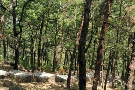 沂蒙山云蒙景区：5A级森林氧吧，负离子含量全国第一
