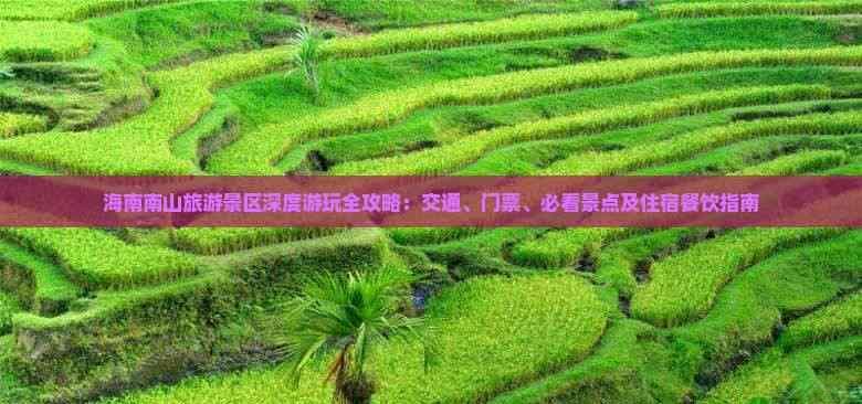 海南南山旅游景区深度游玩全攻略：交通、门票、必看景点及住宿餐饮指南