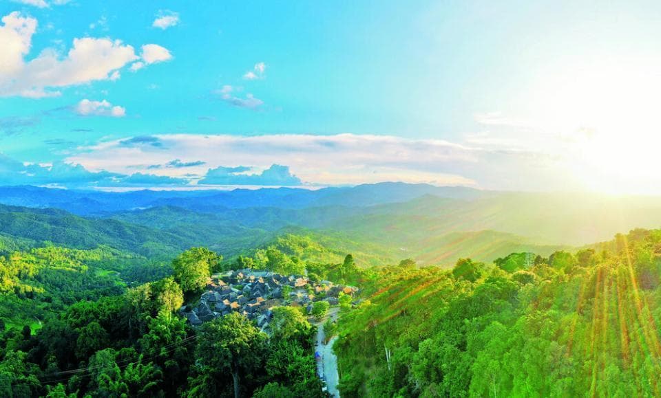 景迈山申遗成功一周年：入古出新 承遗焕彩
