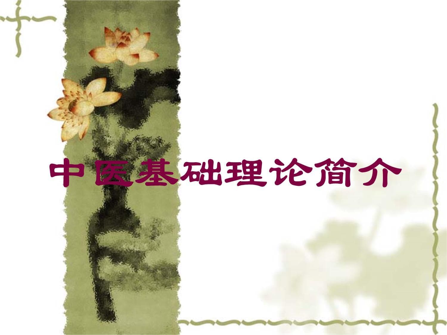 中医基础理论简介
