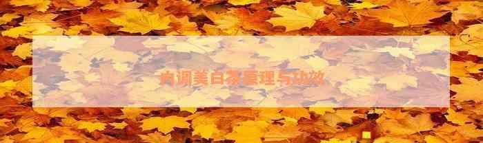 内调美白茶原理与功效