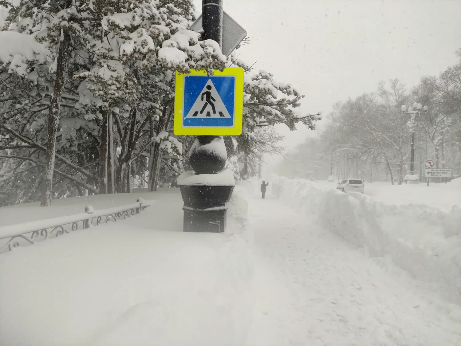 暴风雪来袭！这些应急措施你知道吗？