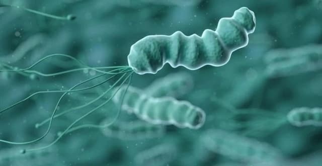 碳13、碳14呼气试验为何能够检测到幽门螺杆菌感染？该如何选择？
