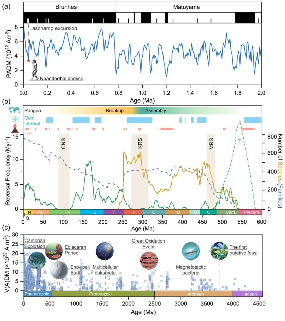 潘永信等-NSR：地磁场极性倒转对生物有何影响？