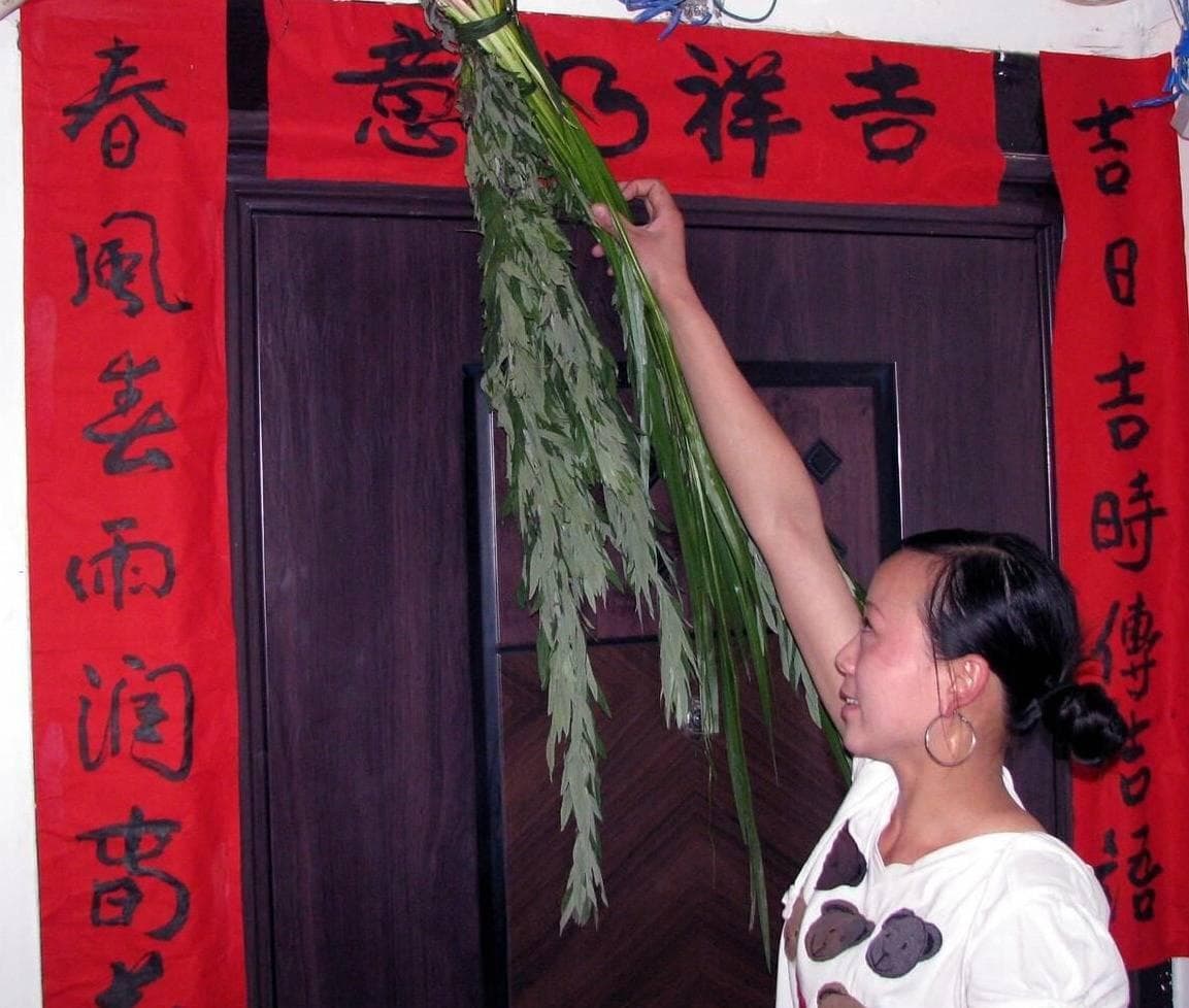 挂艾草有讲究，“端午艾草三不挂，挂了家里灾祸多”，有道理吗？
