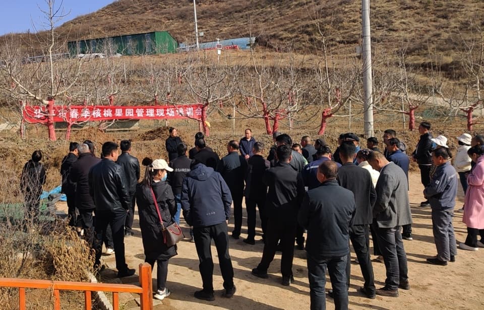 甘肃华亭：田间课堂送“真经”  果树春管有“良方”