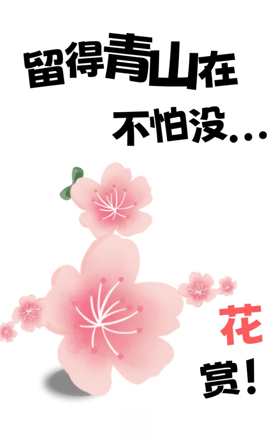 新洲春日赏花攻略：20+个赏花点，花开烂漫正当时