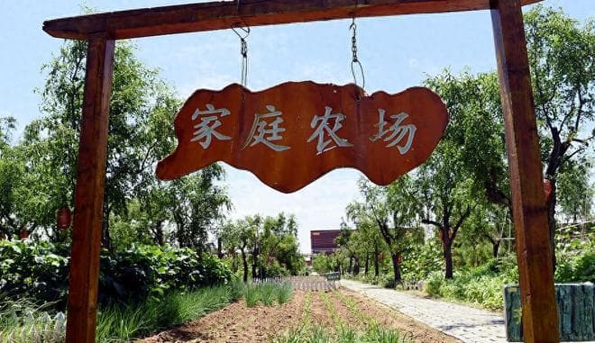 想申办家庭农场？需要有这四个必备条件！