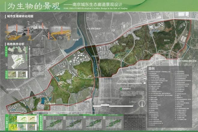 从破碎到完整：构建仙林野生动物的安全迁徙通道