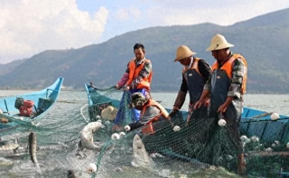 江川开渔节：一场渔文化与民俗风情的盛宴