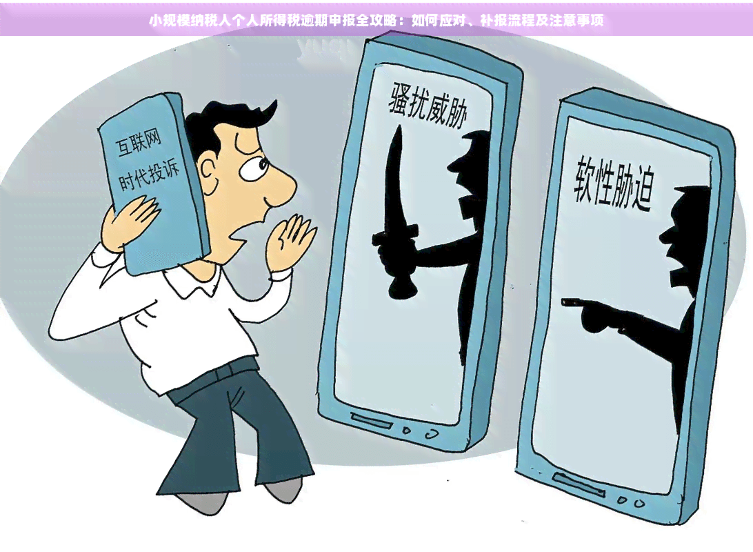 小规模纳税人个人所得税逾期申报全攻略：如何应对、补报流程及注意事项