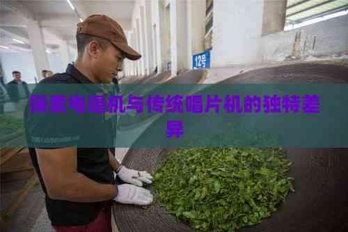 探索电唱机与传统唱片机的独特差异