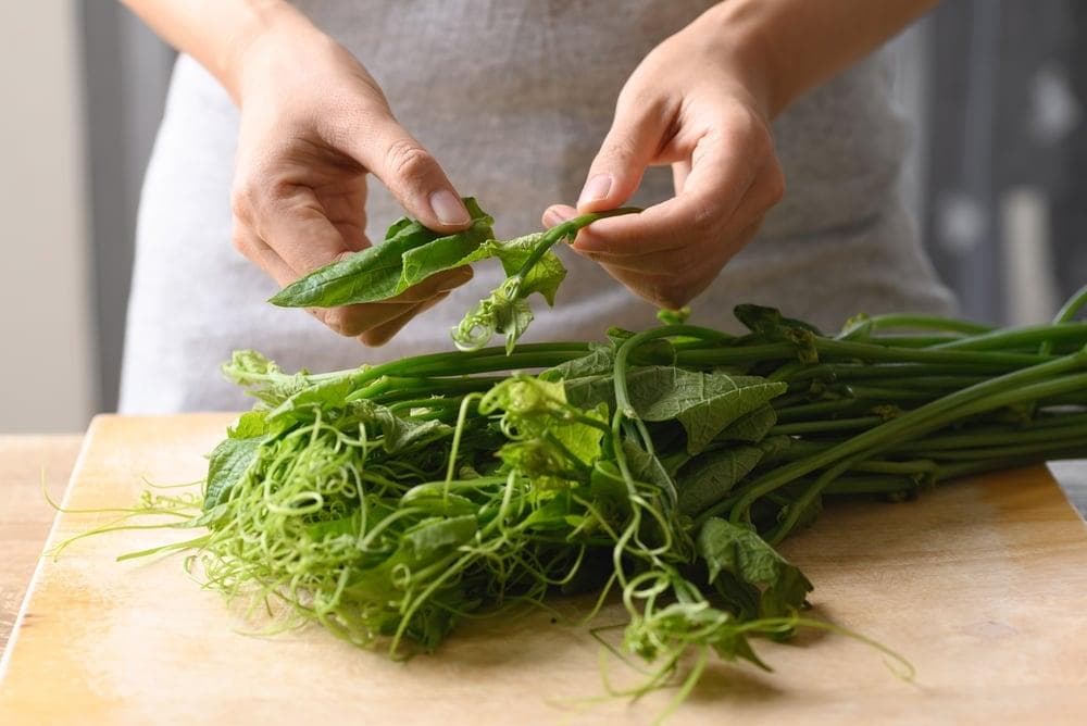 龙须菜的功效与营养价值：从维生素A到膳食纤维的全面解析
