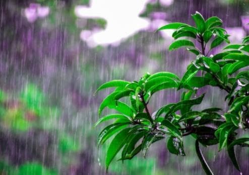 雨天如何保持好心情？六大实用方法助你驱赶阴霾
