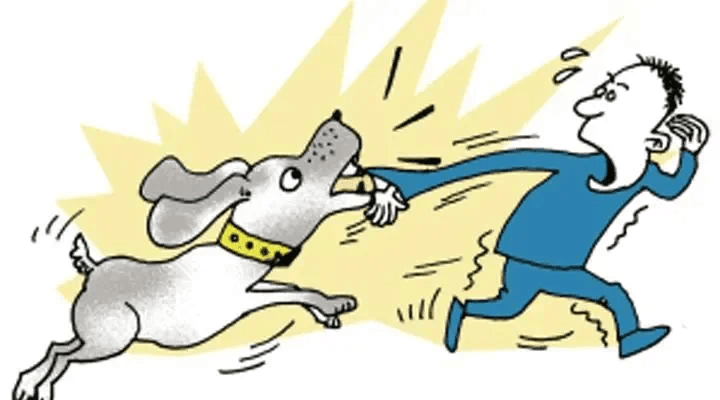 最高法院：未成年人遛犬伤人，饲养人管理人担责