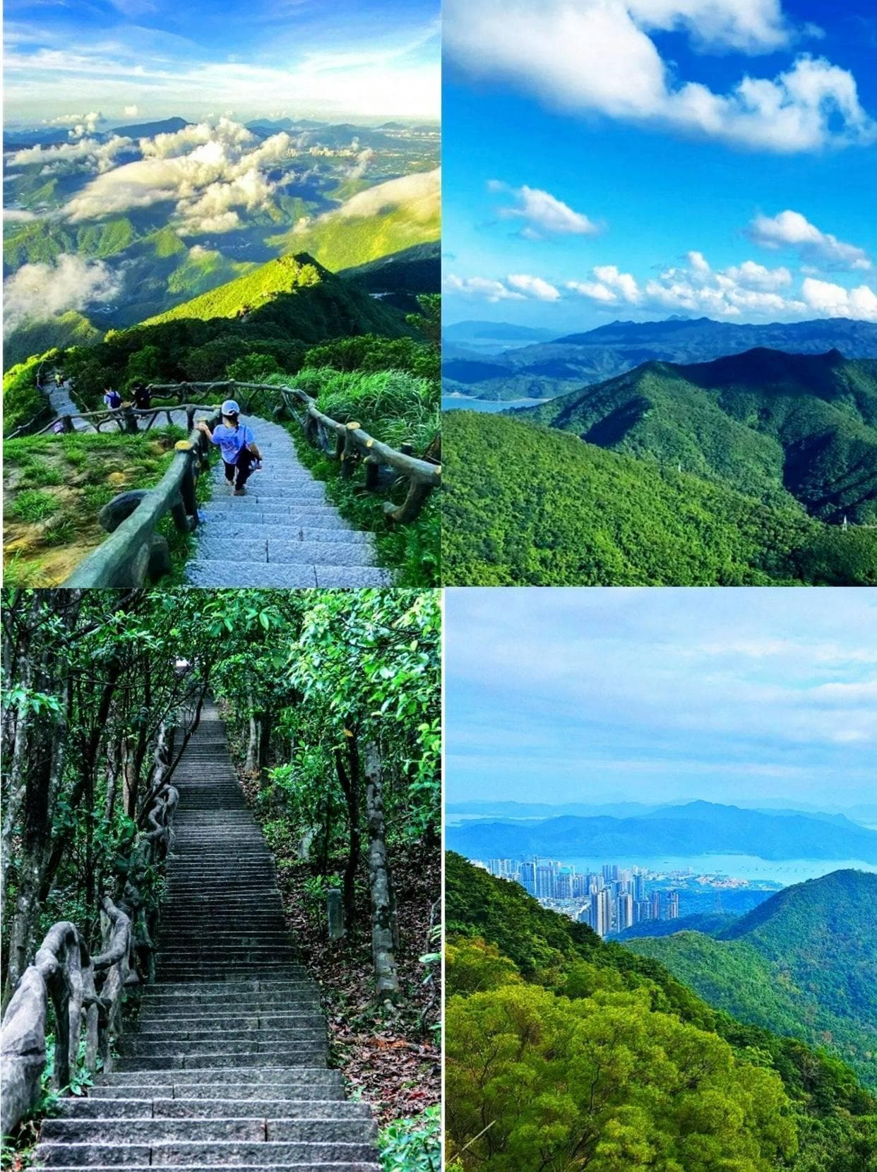 深圳梧桐山景区登山路线+行李寄存攻略！