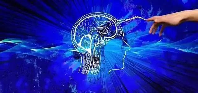 AI的“幻觉”背后：如何让人工智能学会“我不知道”？