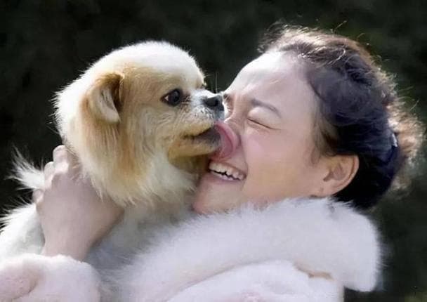狗1岁=人7岁？算错了，正确的年龄换算表在这！