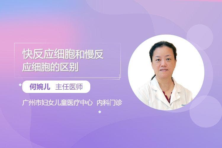 快反应细胞和慢反应细胞的区别