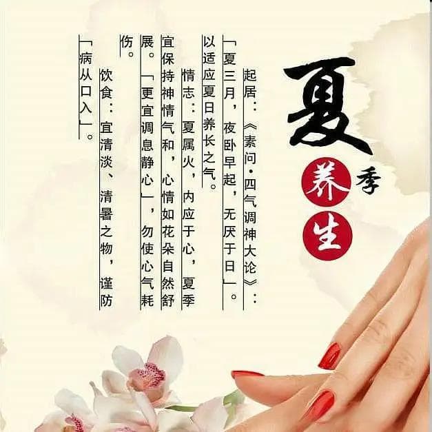 《脉经》解读：如何通过脉象洞察身体健康状况
