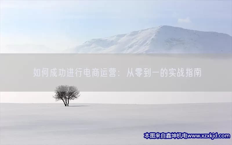 如何成功进行电商运营：从零到一的实战指南