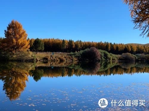 探究影子的形成与科学原理