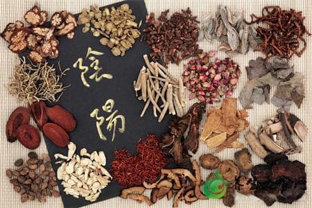 张锡纯回阳升陷汤的作用功效、适应症、临床应用、组成医案方解